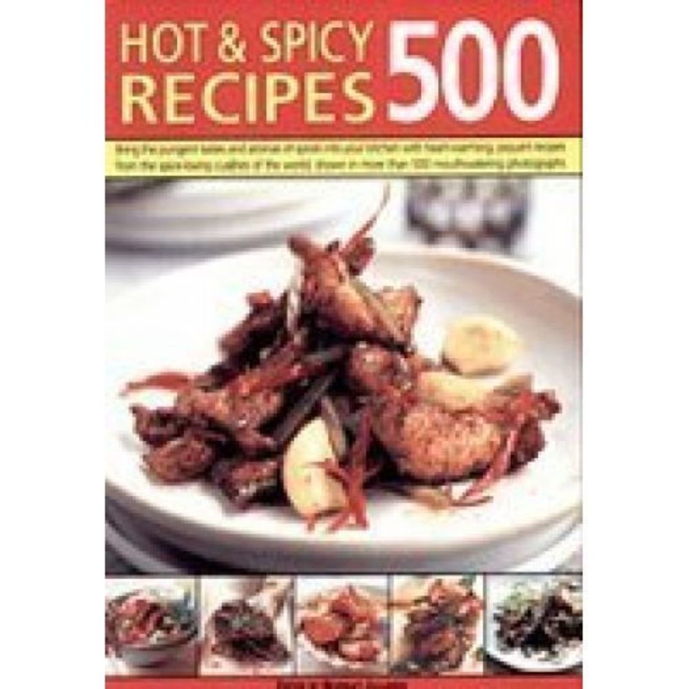 Hot & Spicy Recipes 500 (Paperback)